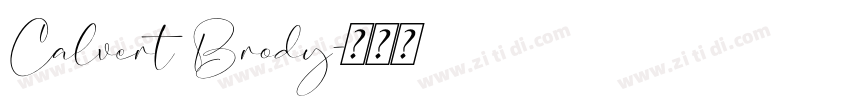 Calvert Brody字体转换